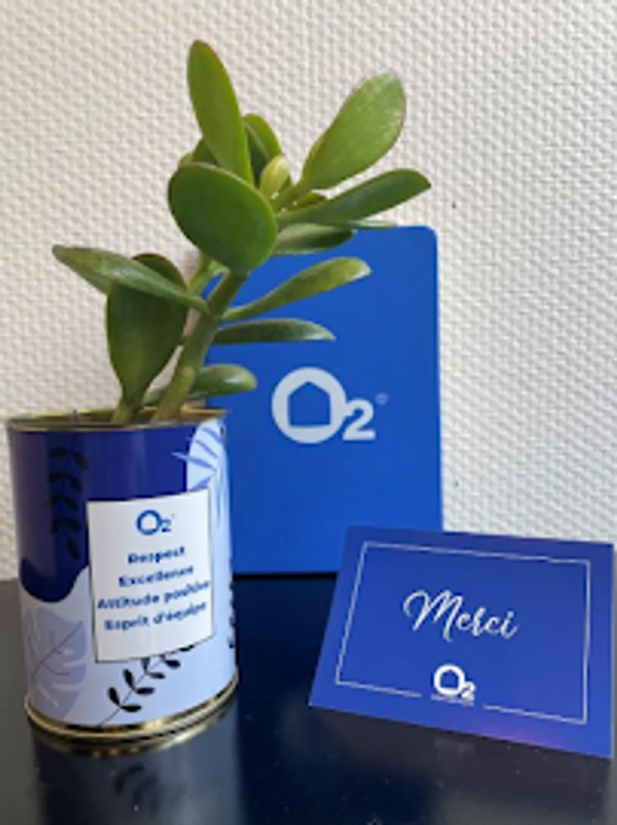 Agence O2 Lorient - Services à domicile - Photo 5