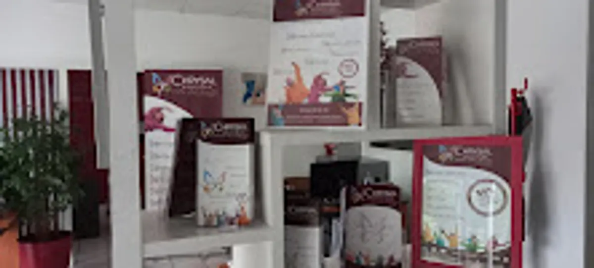 Chrysal Services - Photo 6