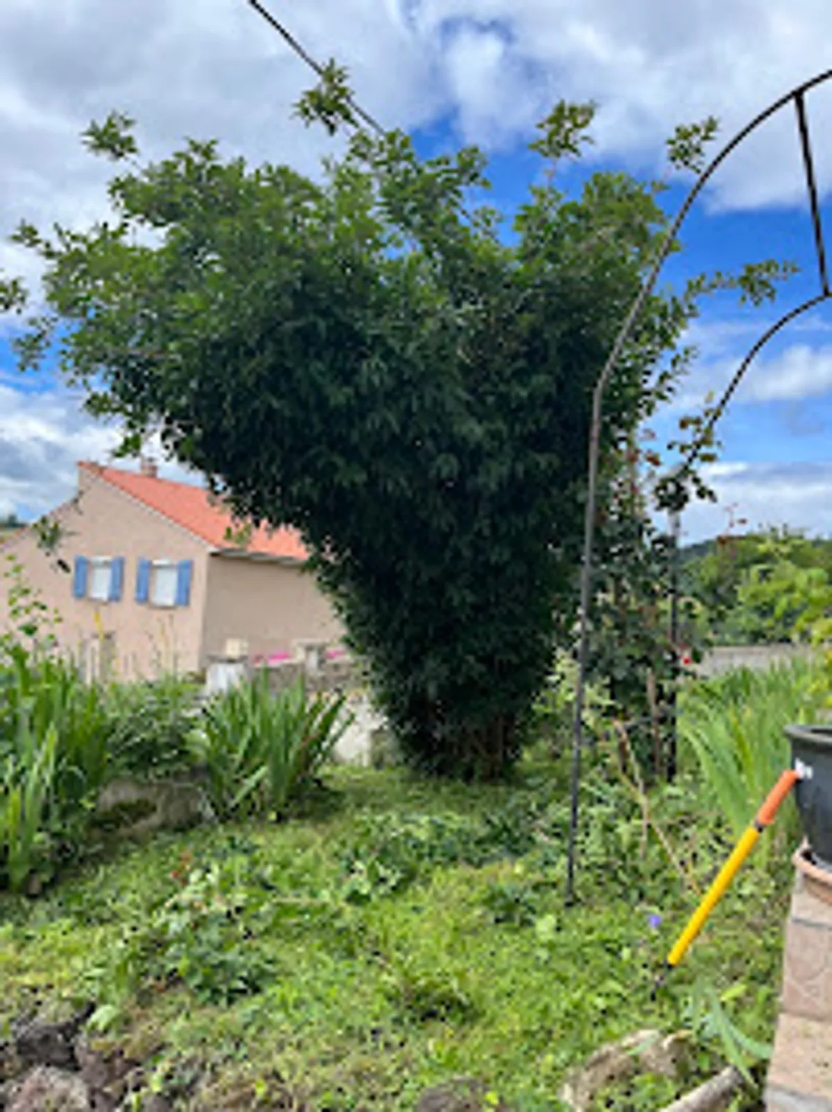 VADservices - Photo 6