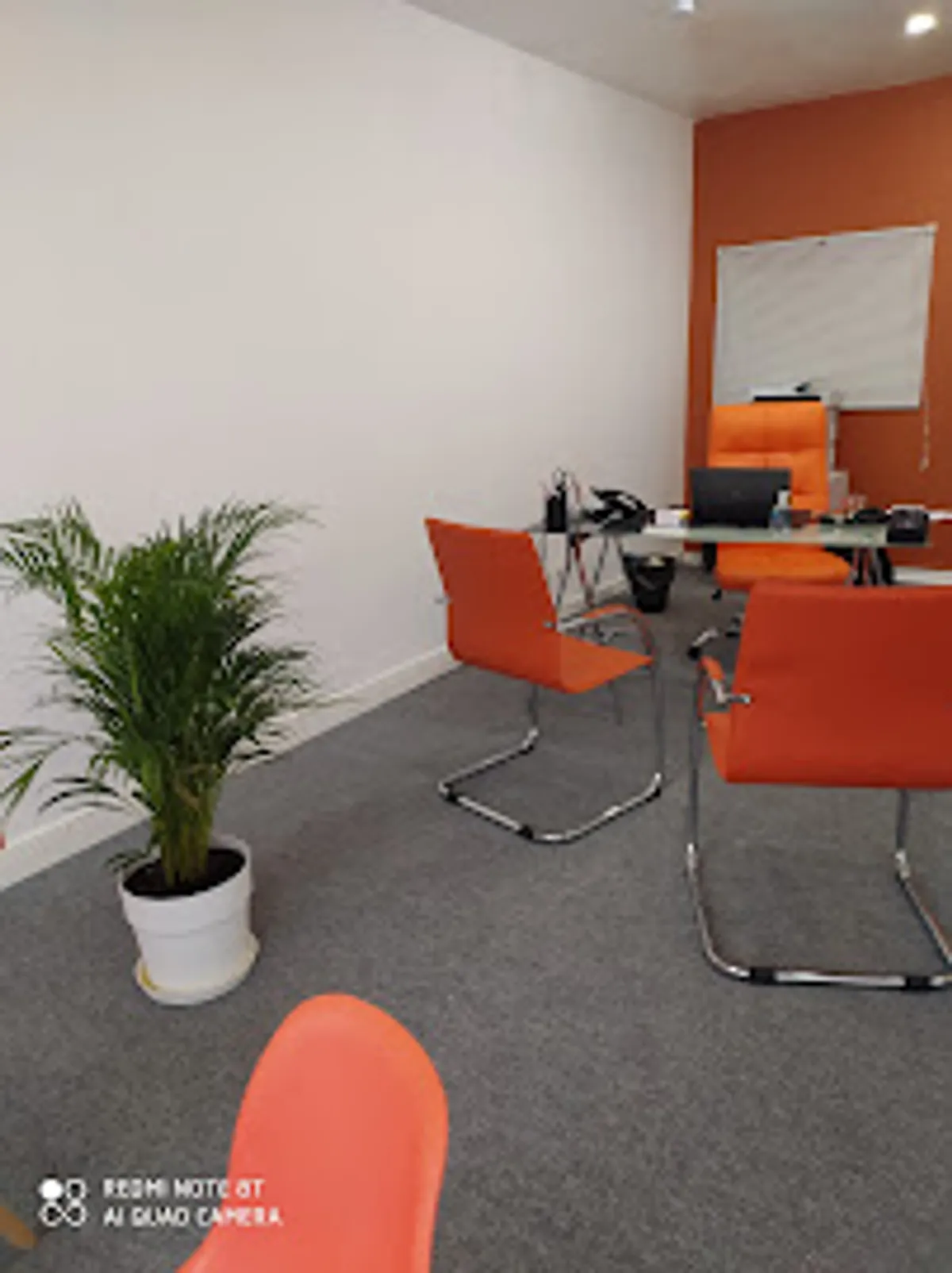 Senior Compagnie - Aide à Domicile - Photo 6