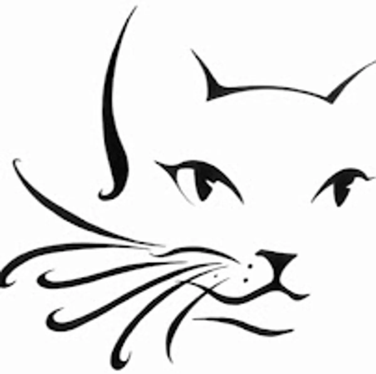 Clean Home Assistant Technic Services - Photo 2