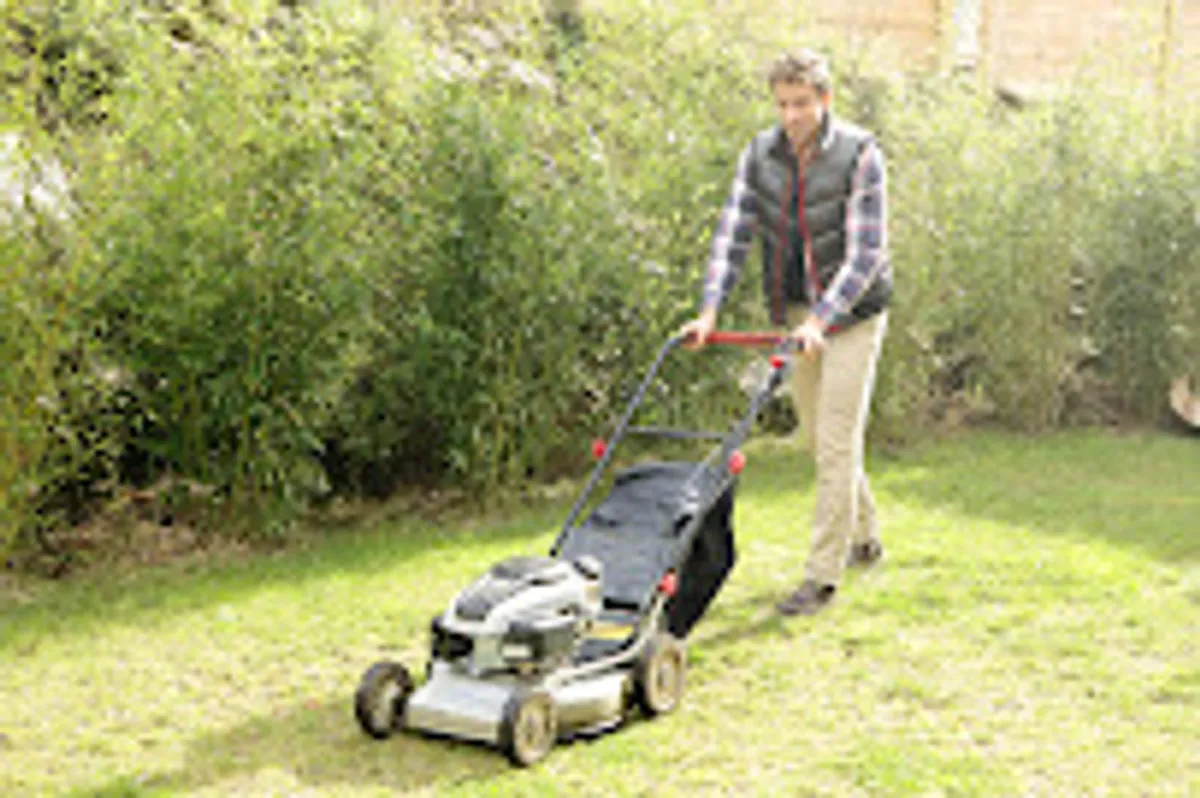 VIVASERVICES RENNES - Ménage, Aide aux personnes âgées et handicapées, Jardinage, Bricolage à Rennes - Photo 6