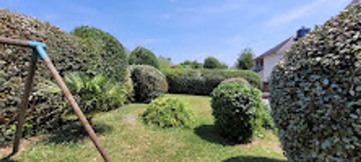 VIVASERVICES RENNES - Ménage, Aide aux personnes âgées et handicapées, Jardinage, Bricolage à Rennes - Photo 7
