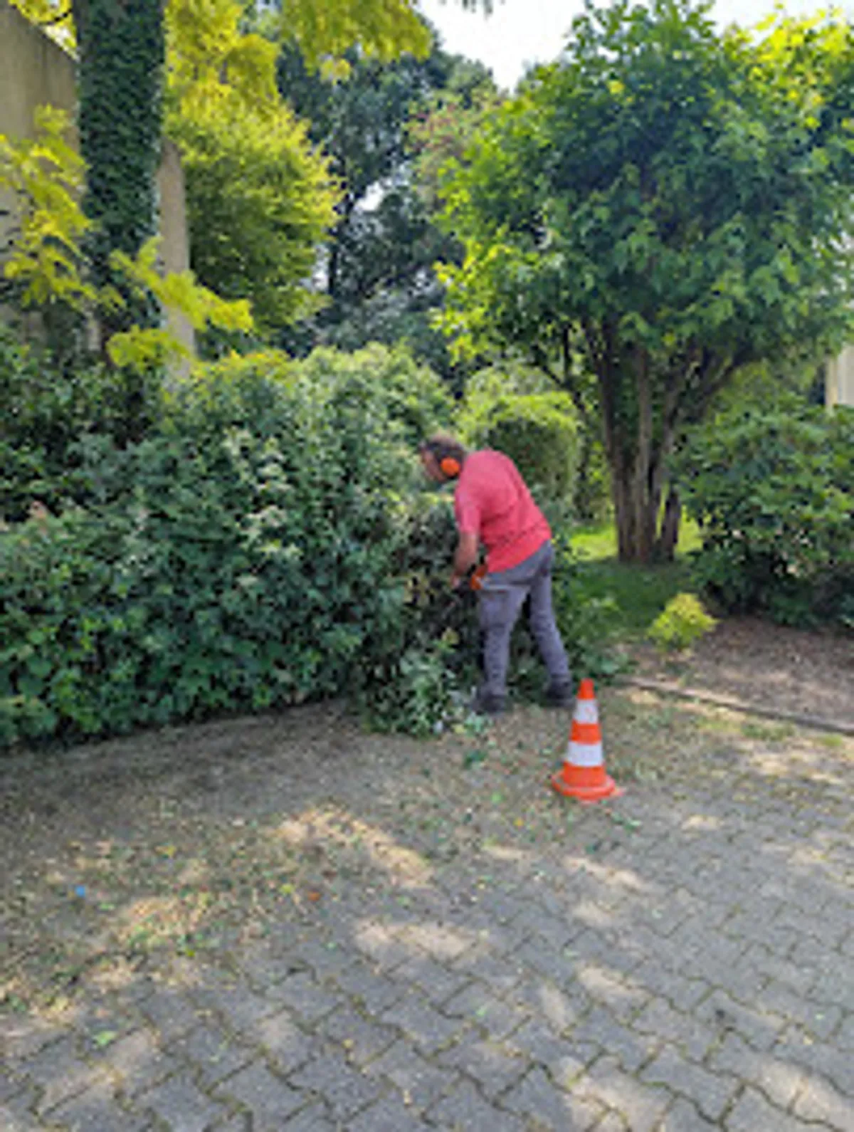 VIVASERVICES RENNES - Ménage, Aide aux personnes âgées et handicapées, Jardinage, Bricolage à Rennes - Photo 8