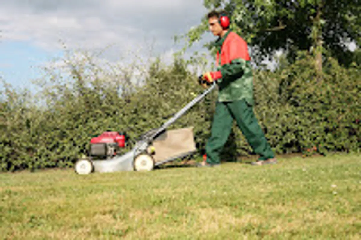ARCHE SERVICES - Photo 4