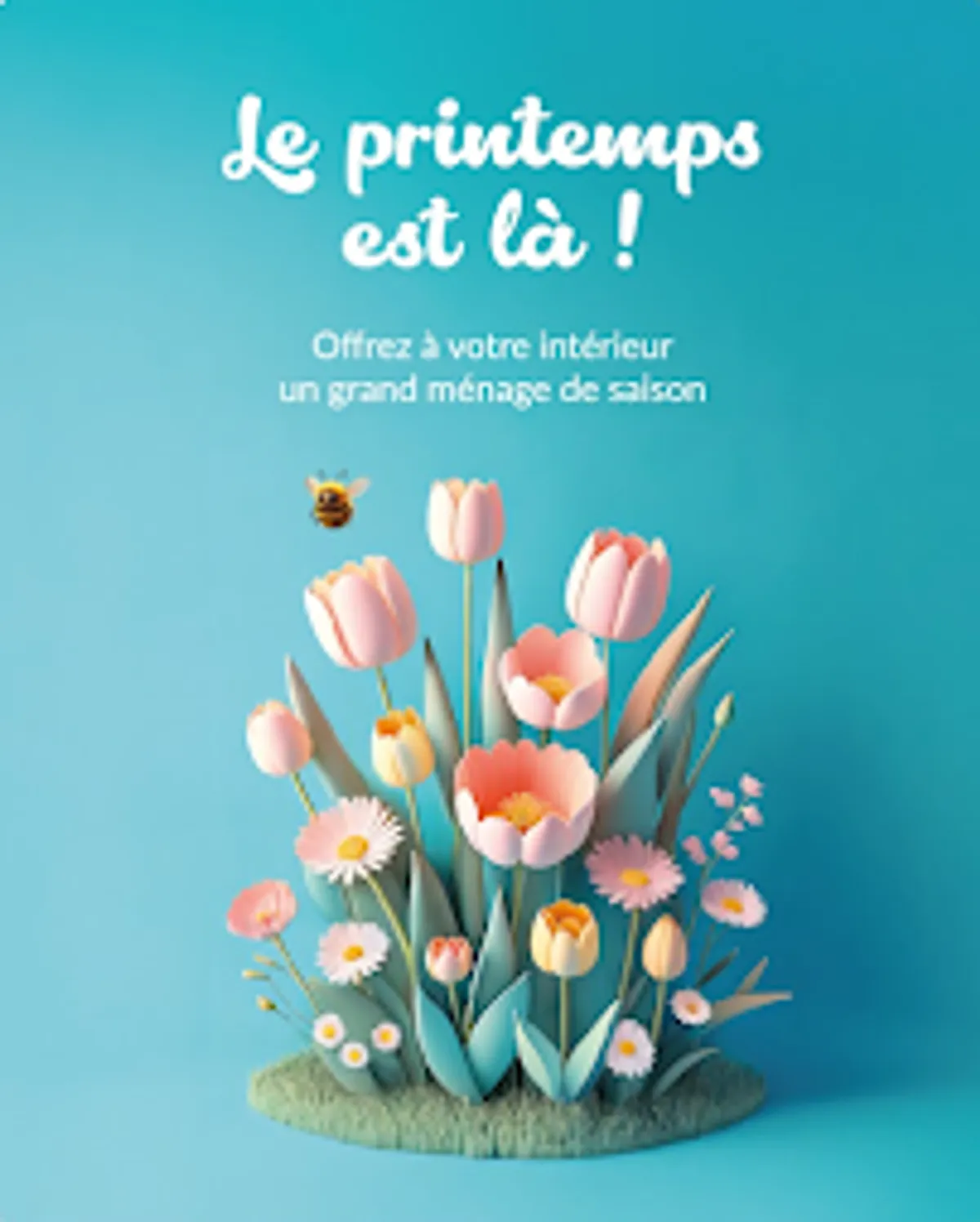 CENTRE SERVICES BRUMATH SPECIALISTE DU MENAGE AU DOMICILE DES PARTICULIERS - Photo 7