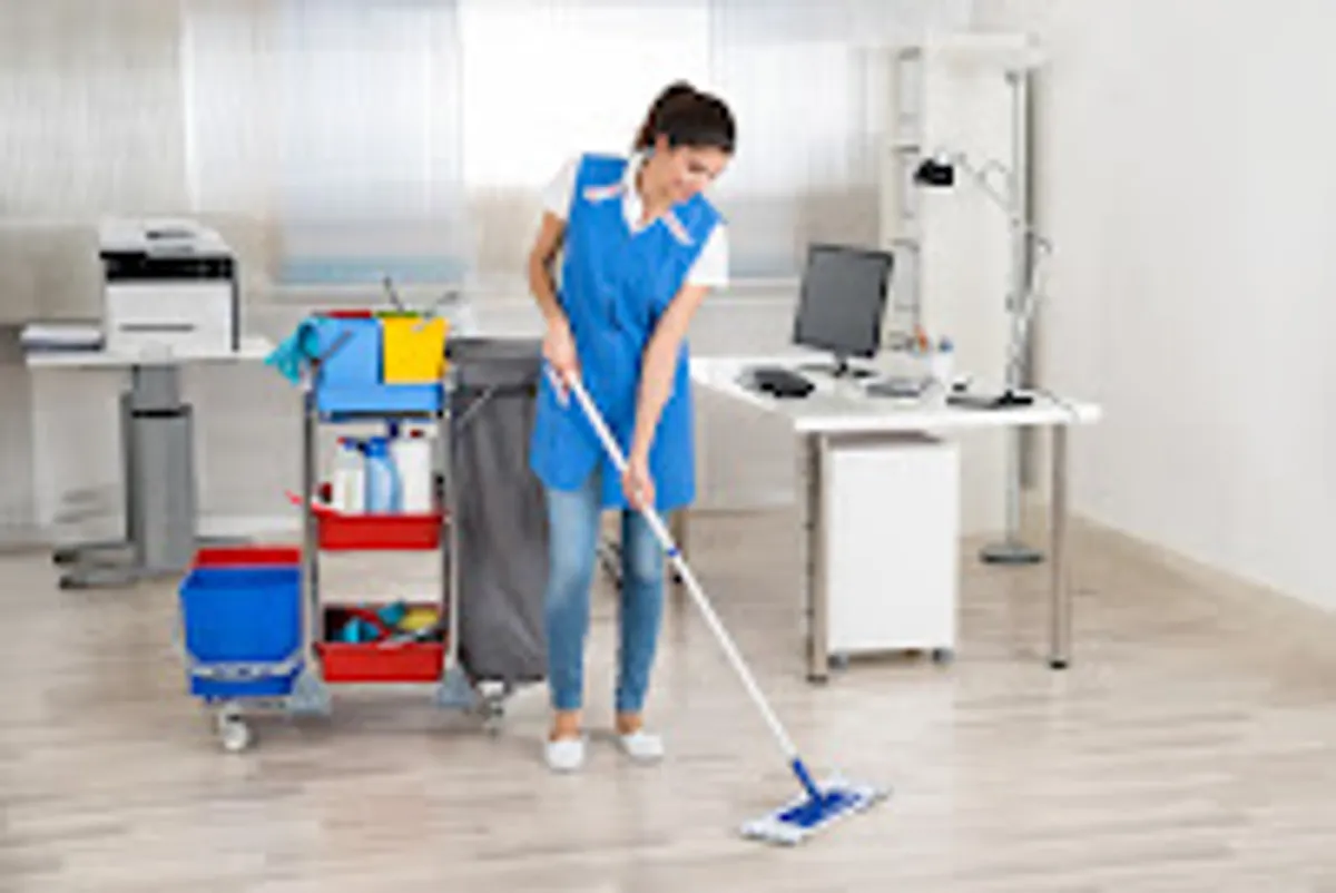 CONFORT SERVICES - Ménage - aide à domicile - jardinage