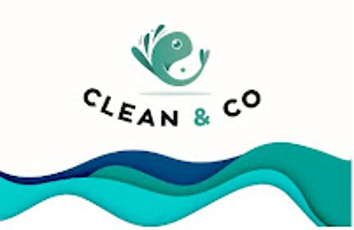 Clean Company | Nettoyage multi-services, vitrerie, remise en état, enlèvements encombrants - Photo 2