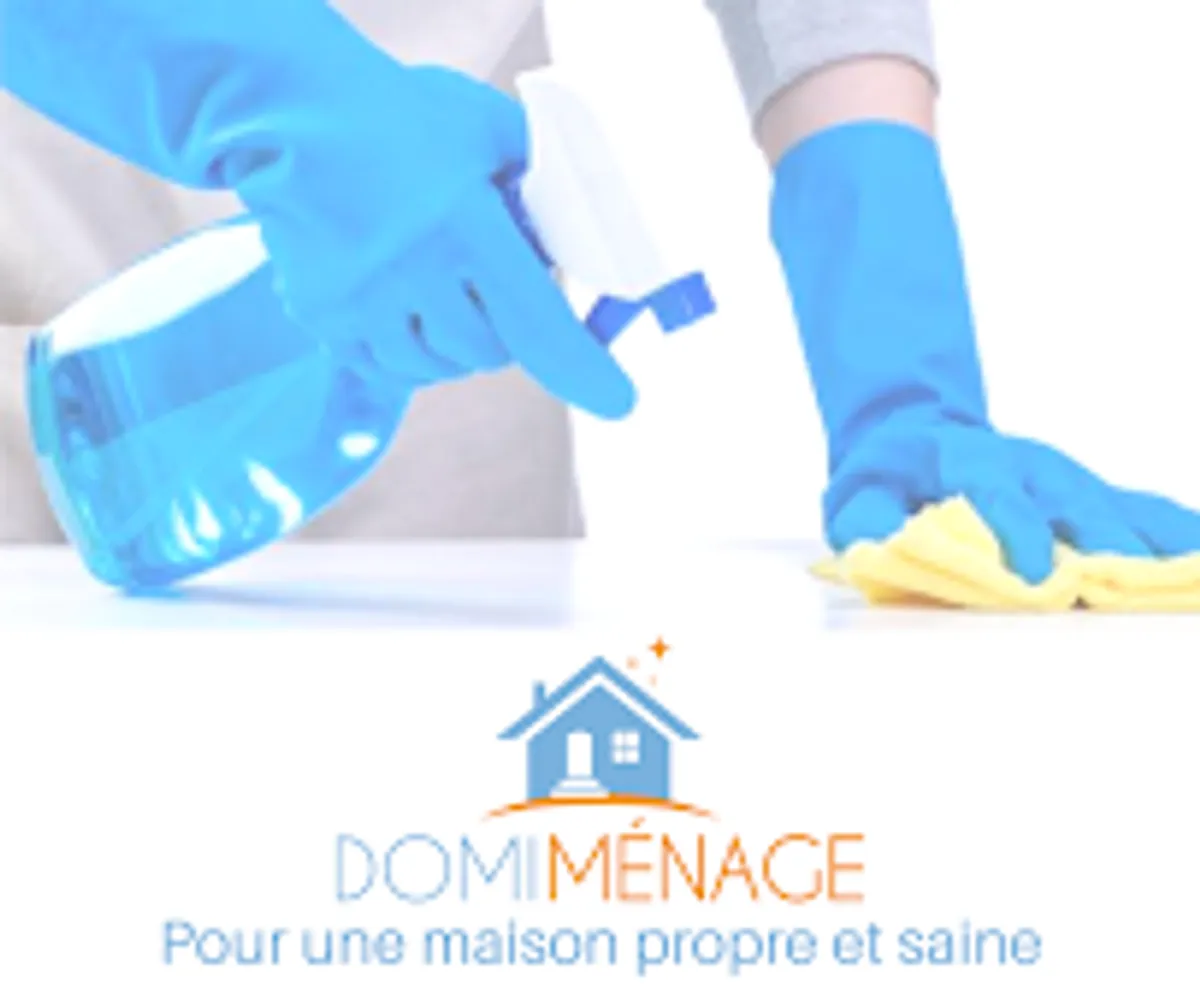 Domi Ménage Sénart