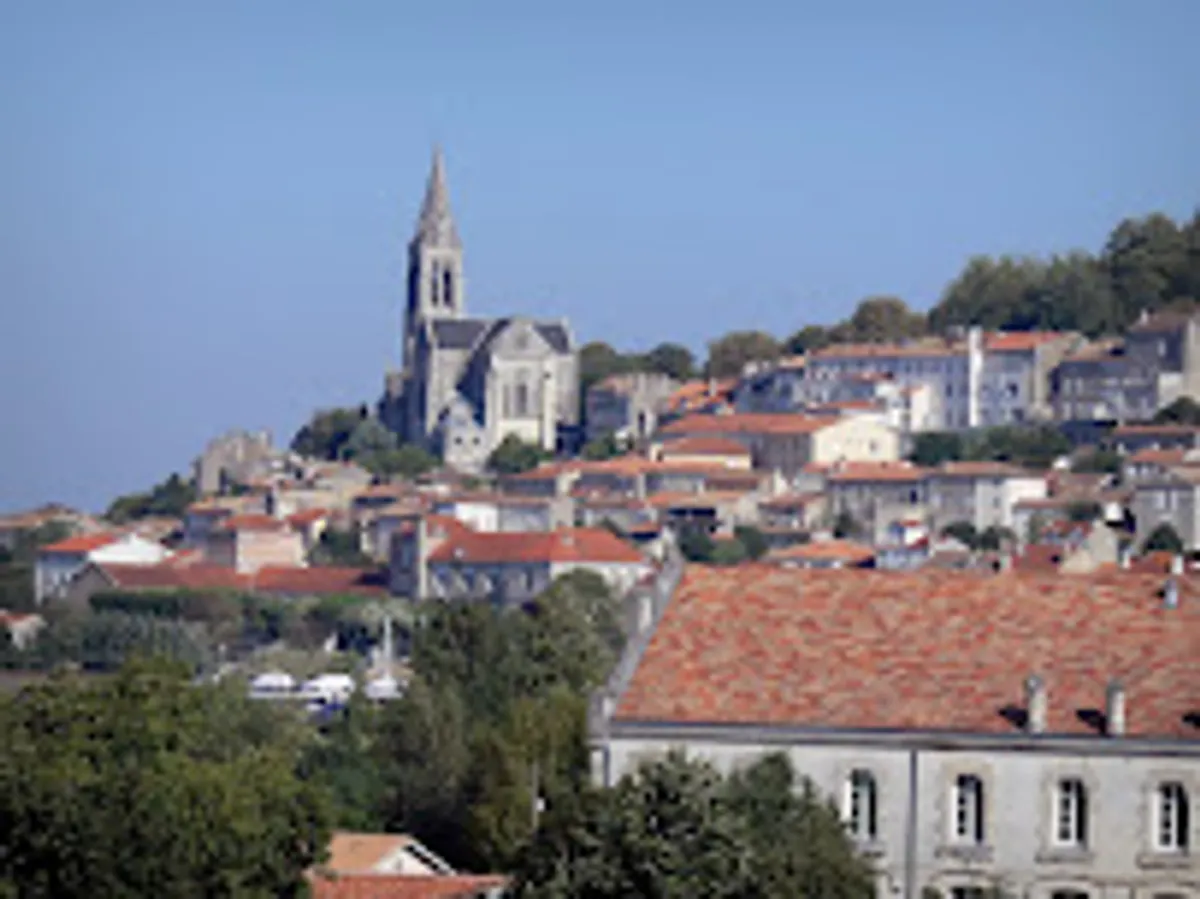 All4home - Ménage, repassage et garde d'enfants à Périgueux - Limoges - Brive - Angoulême - Photo 6