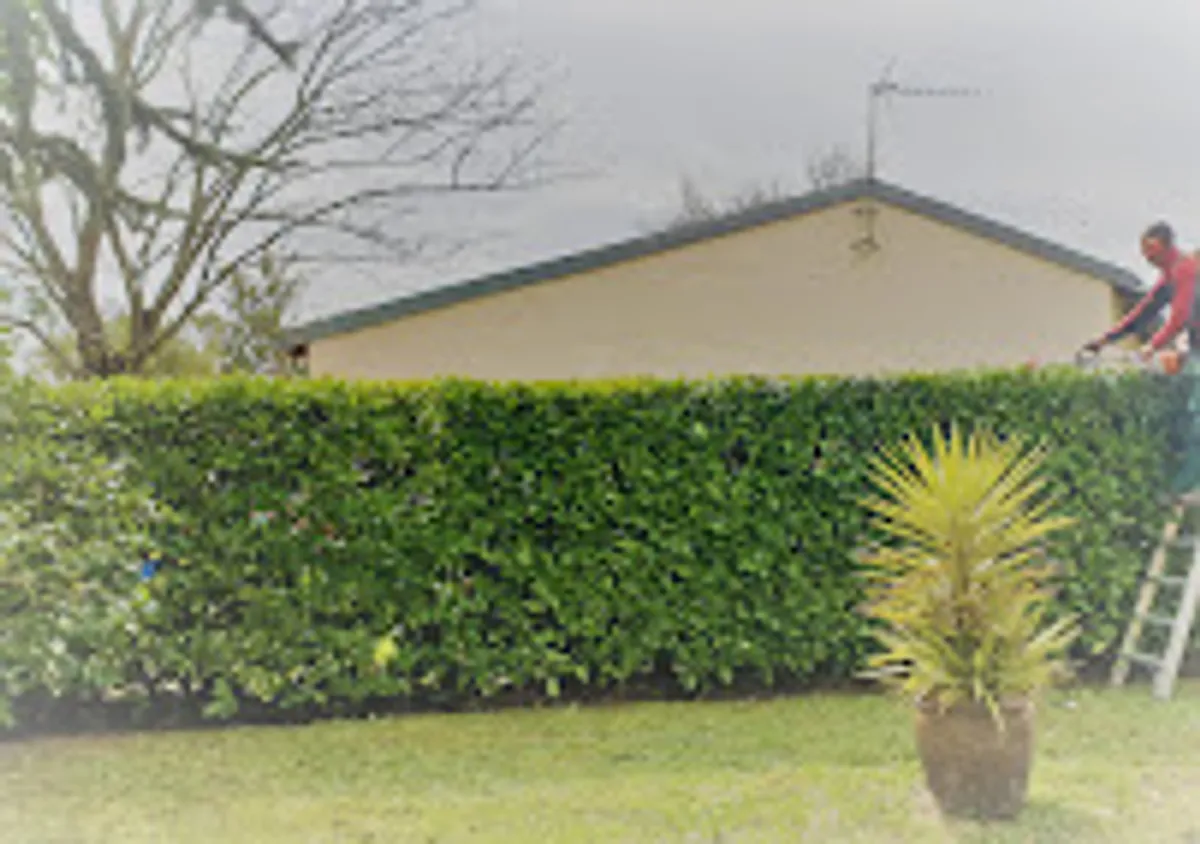 Maison et Services Toulouse Sud - Photo 3