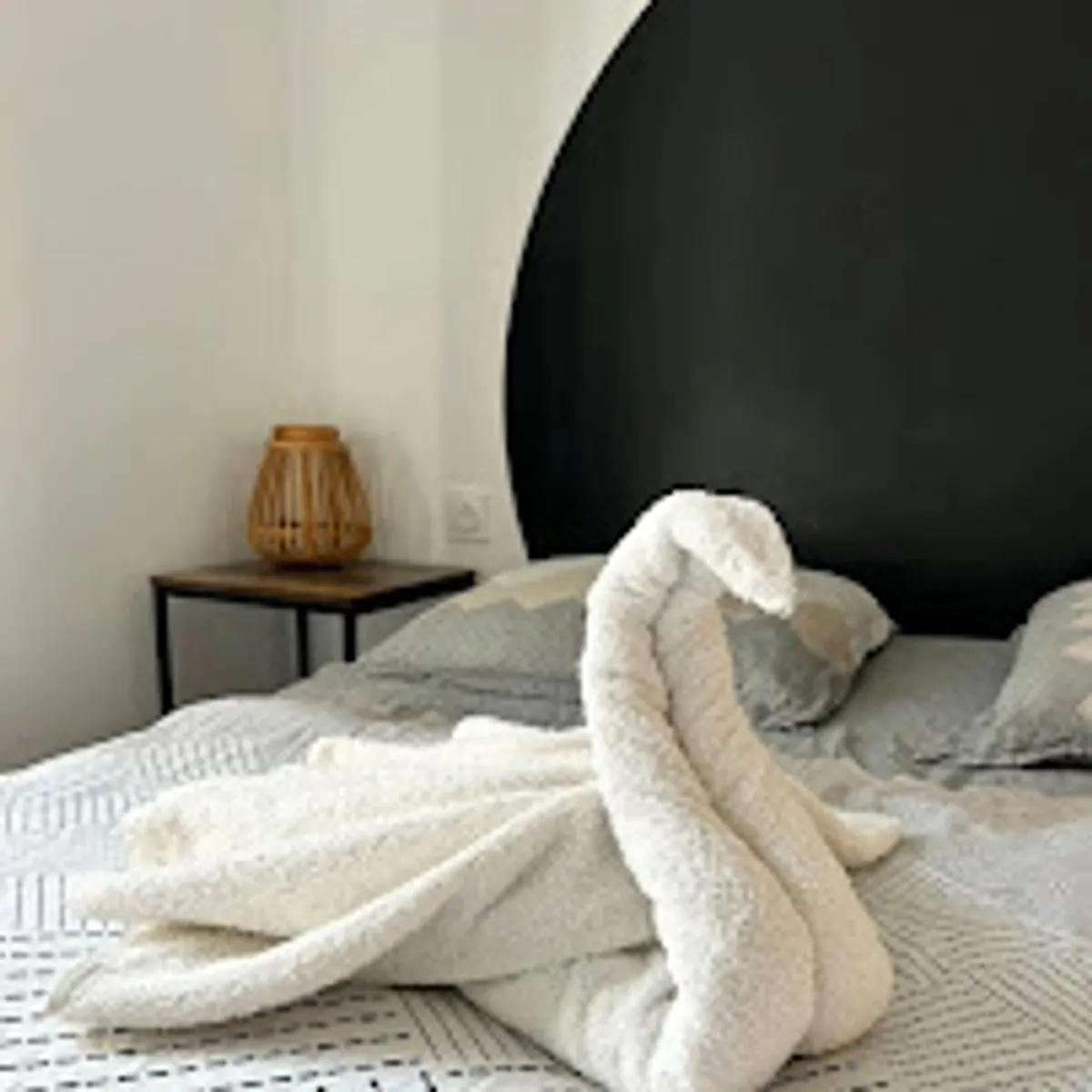 Doméo | ménage et repassage à domicile - Photo 6