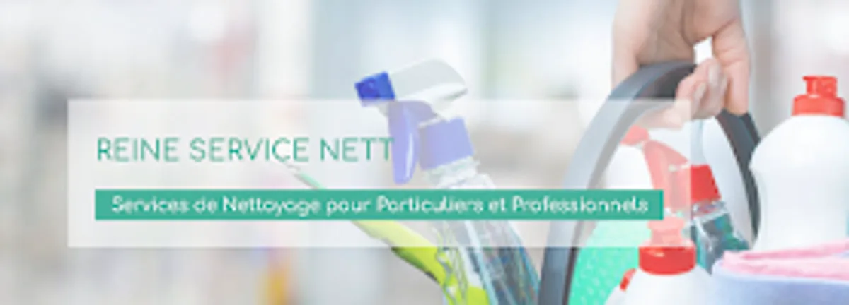 Reine Service Nett