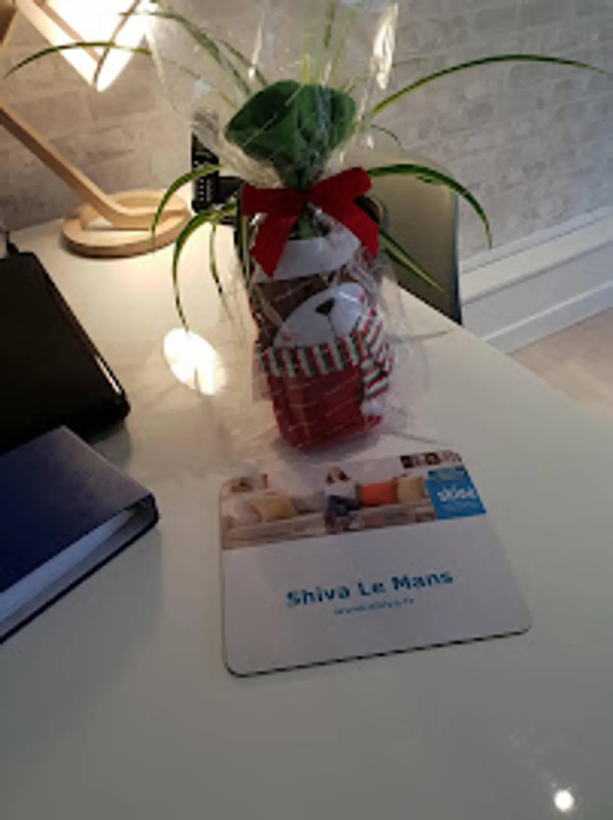 Ménage et repassage à domicile - Shiva Le Mans - Photo 8
