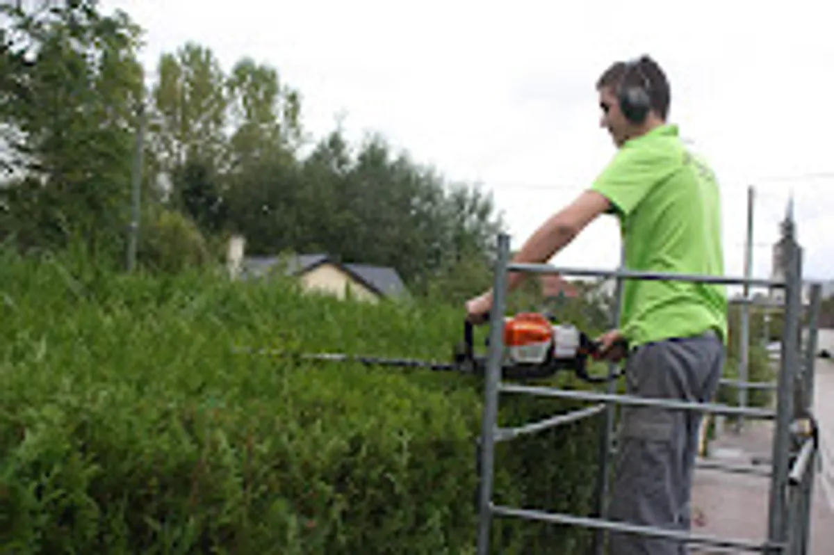 Ménagez-moi, ménage, repassage, vitrerie, espaces verts - Photo 5