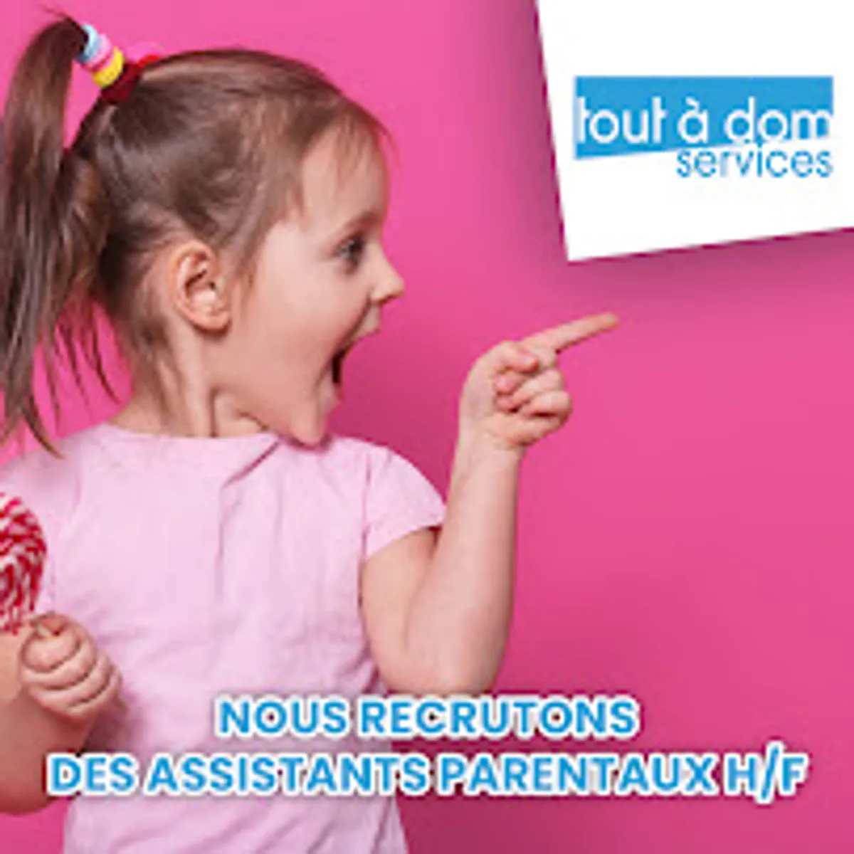 Tout à Dom Services - Ménage - Repassage - Garde d'enfants - Jardinage - Bricolage - Photo 7