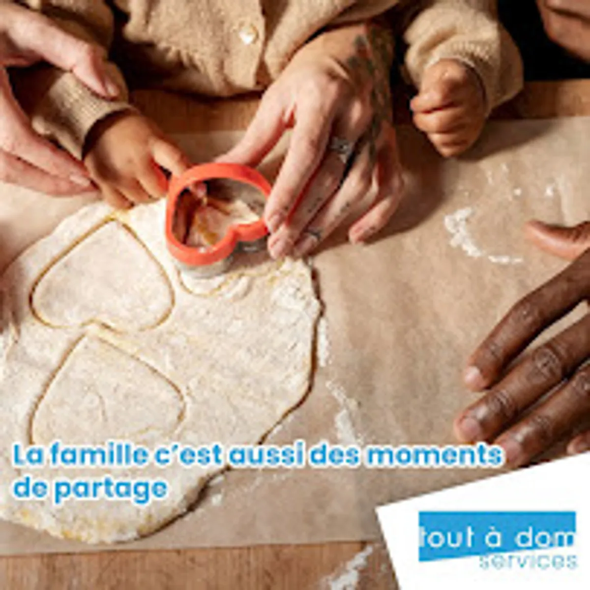 Tout à Dom Services - Ménage - Repassage - Garde d'enfants - Jardinage - Bricolage - Photo 8