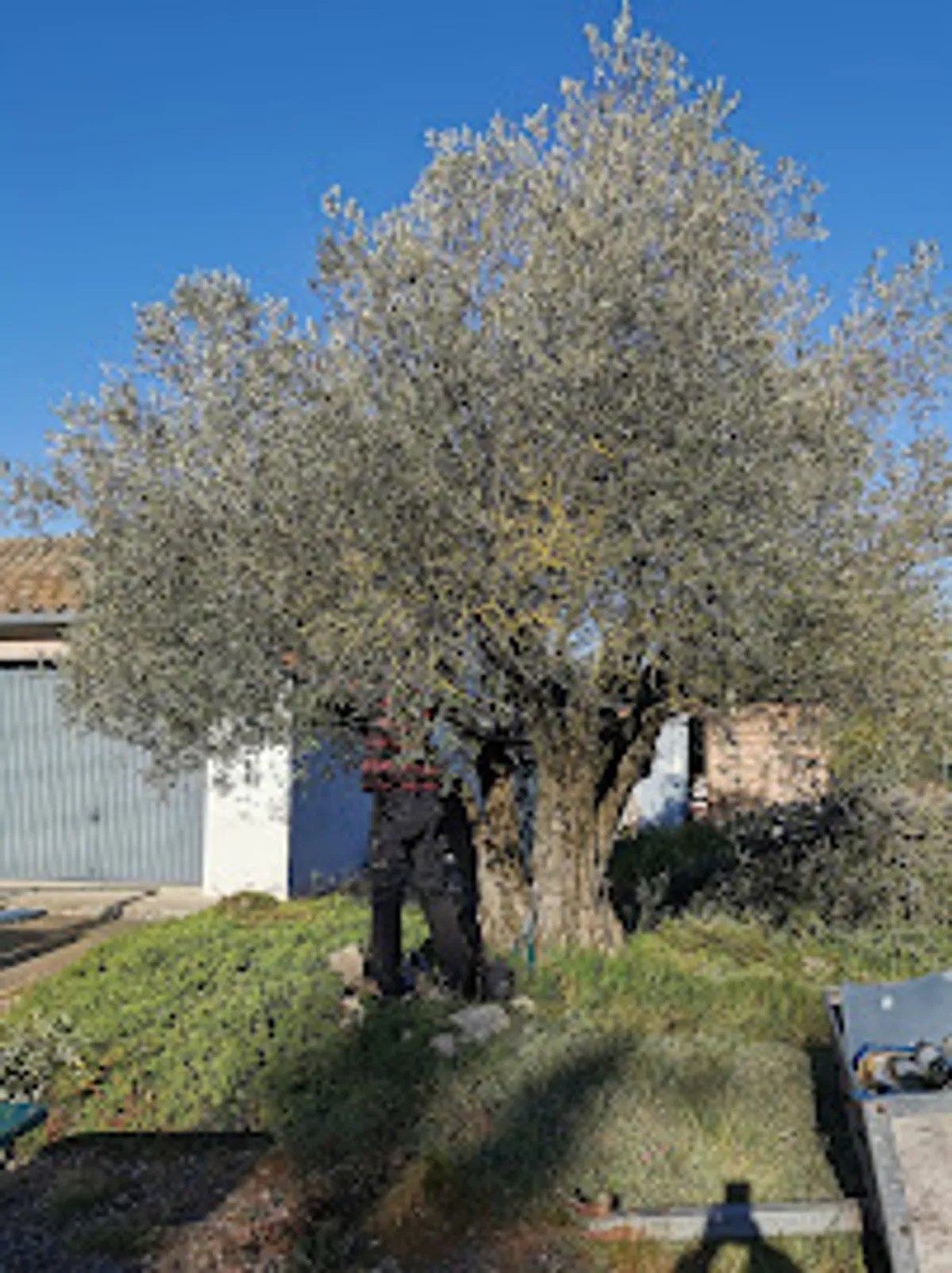 CONFIEZ-NOUS Carbonne - Photo 9