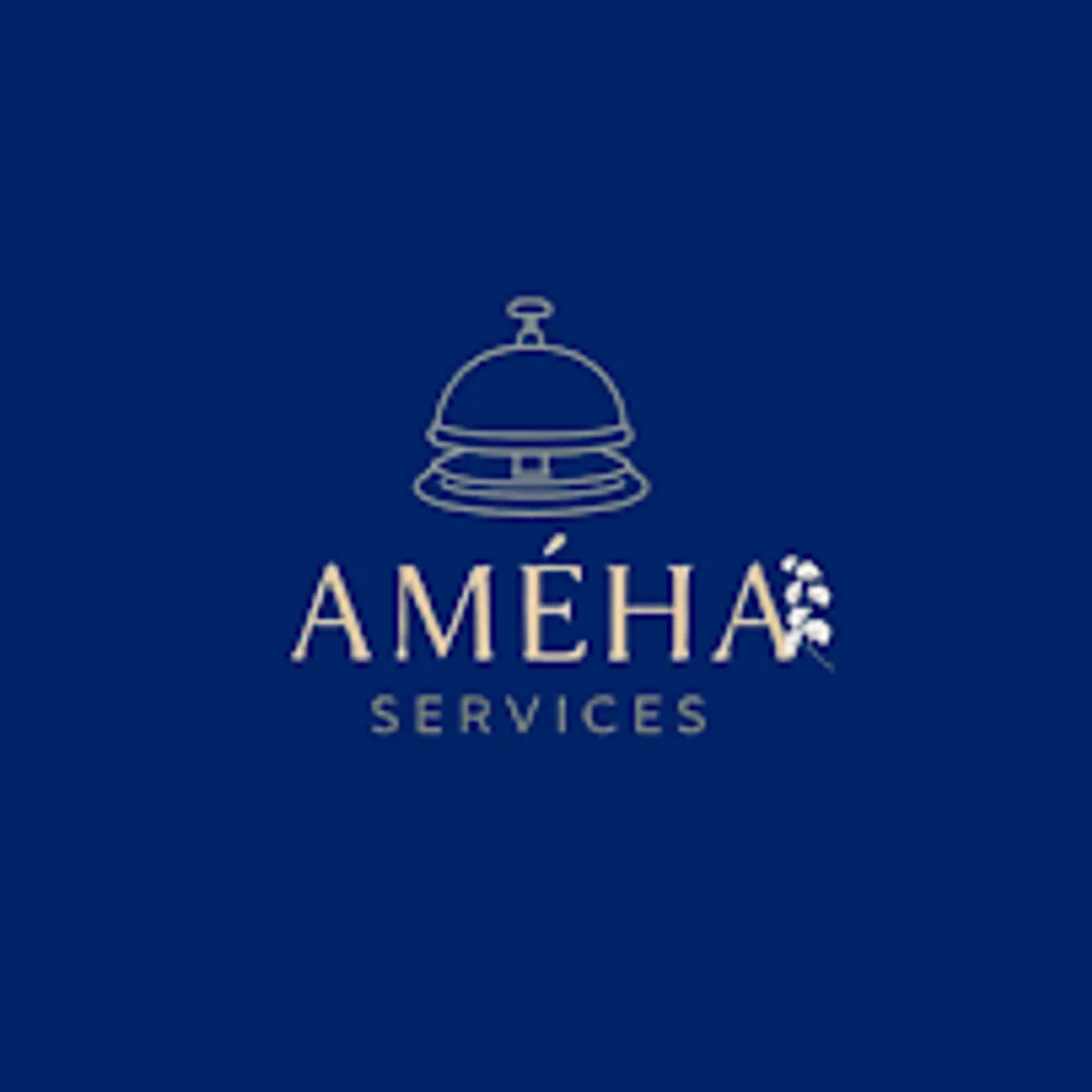 Améha Services : Conciergerie Premium, Services & Ménages à La Rochelle - Photo 7