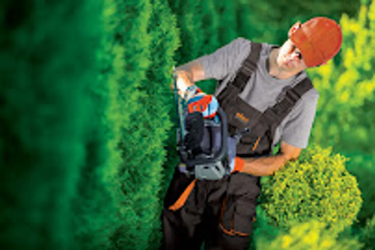 AXEO Services Particuliers et Professionnels Moulins - Photo 8