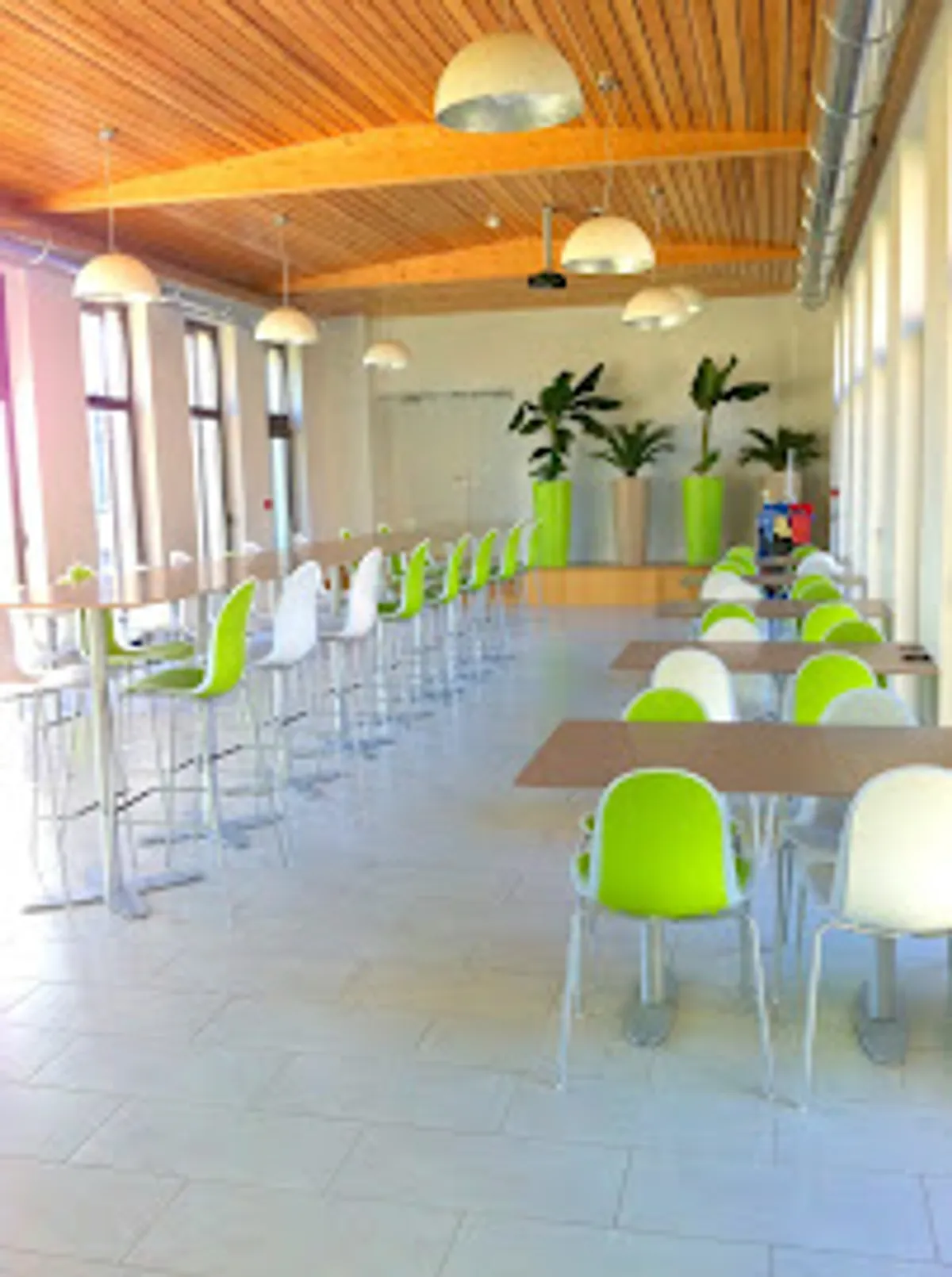 TOUTECLAT - Photo 8