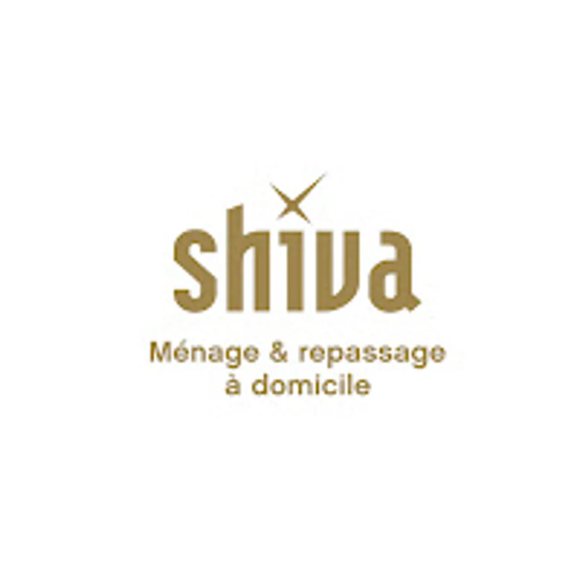 Ménage et repassage à domicile - Shiva Meximieux - Photo 3