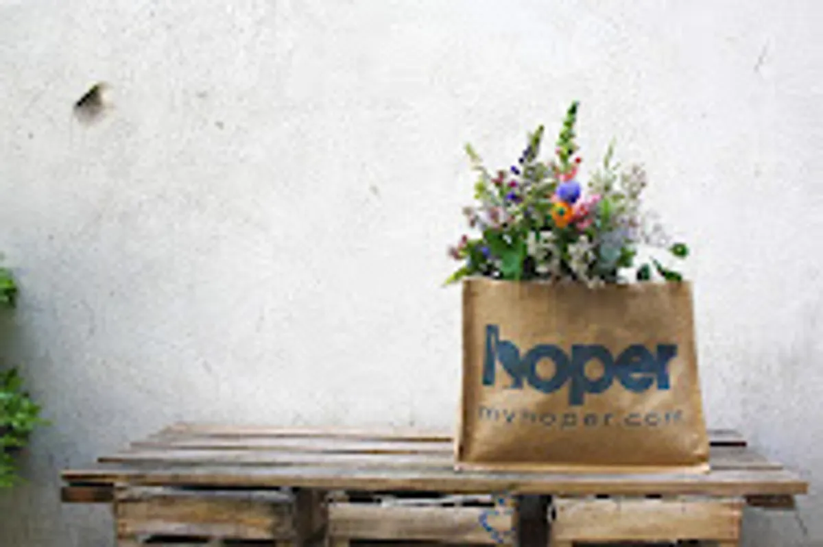 Hoper - Nettoyage de bureaux et locaux professionnels - Photo 4