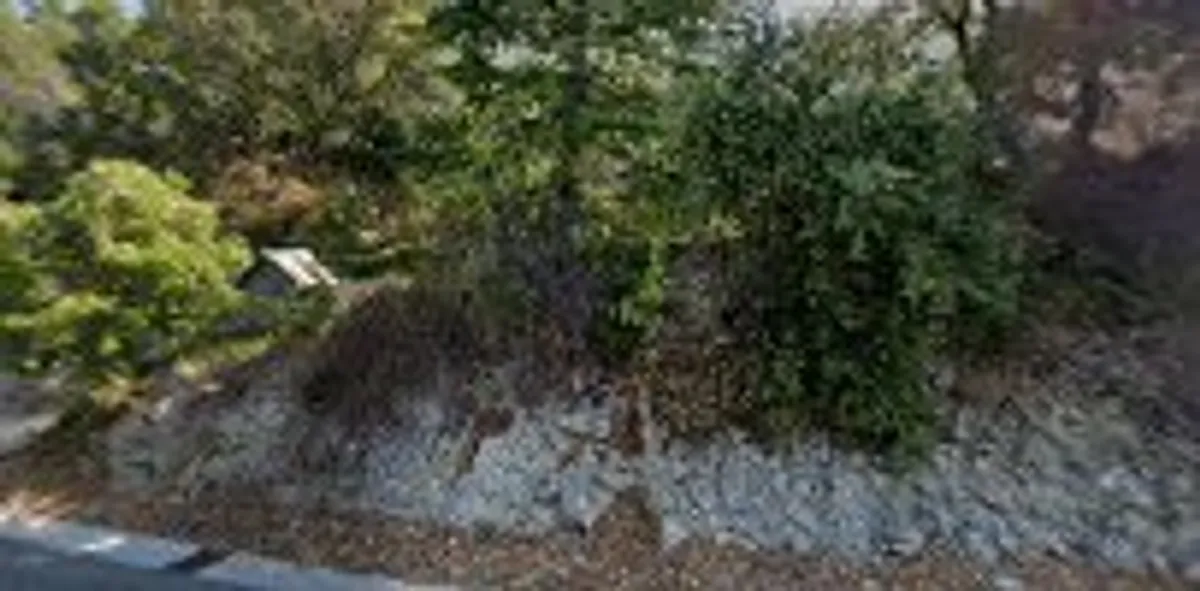 Senior Compagnie - Aide à Domicile - Photo 2
