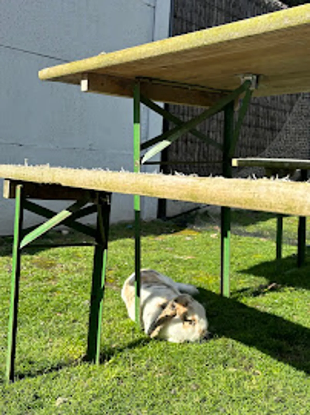 Les Compagnons du Domicile - Photo 5
