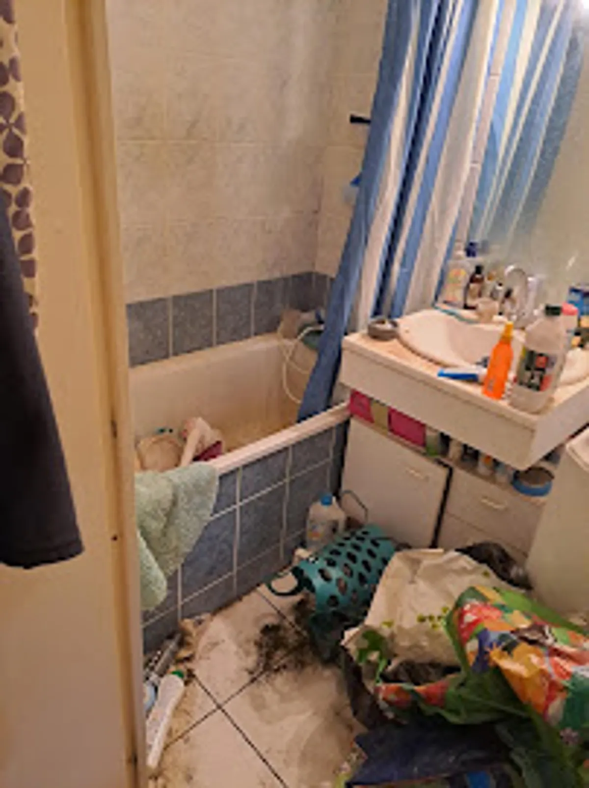 Spirit Clean Services - Photo 6