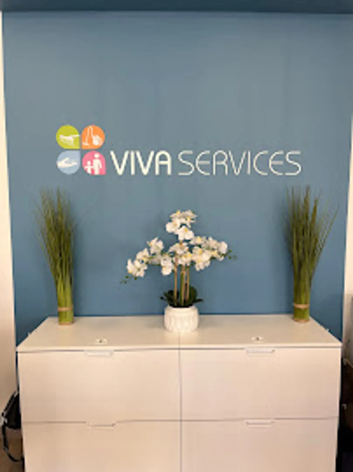 VIVASERVICES Plaisir, Les Clayes-sous-Bois - Ménage, Garde d’enfants, Aide aux personnes âgées, Jardinage, Bricolage - Photo 6