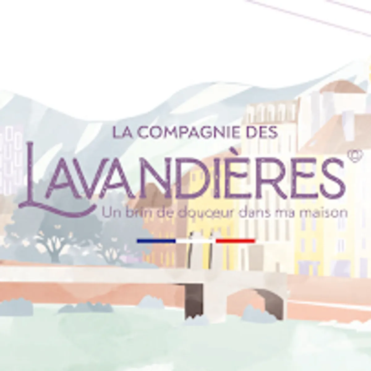 La Compagnie des Lavandières - Service de ménage à domicile - Photo 9