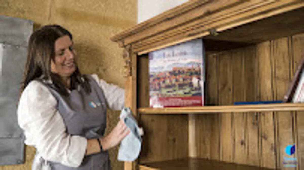 Ménage et repassage à domicile - Centre Services Saint Étienne - Photo 7