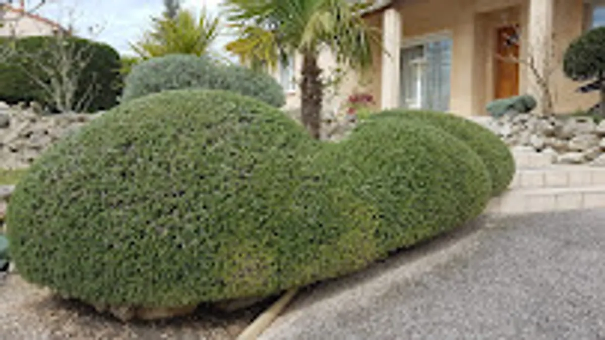 Maison et Services Cugnaux - Photo 7