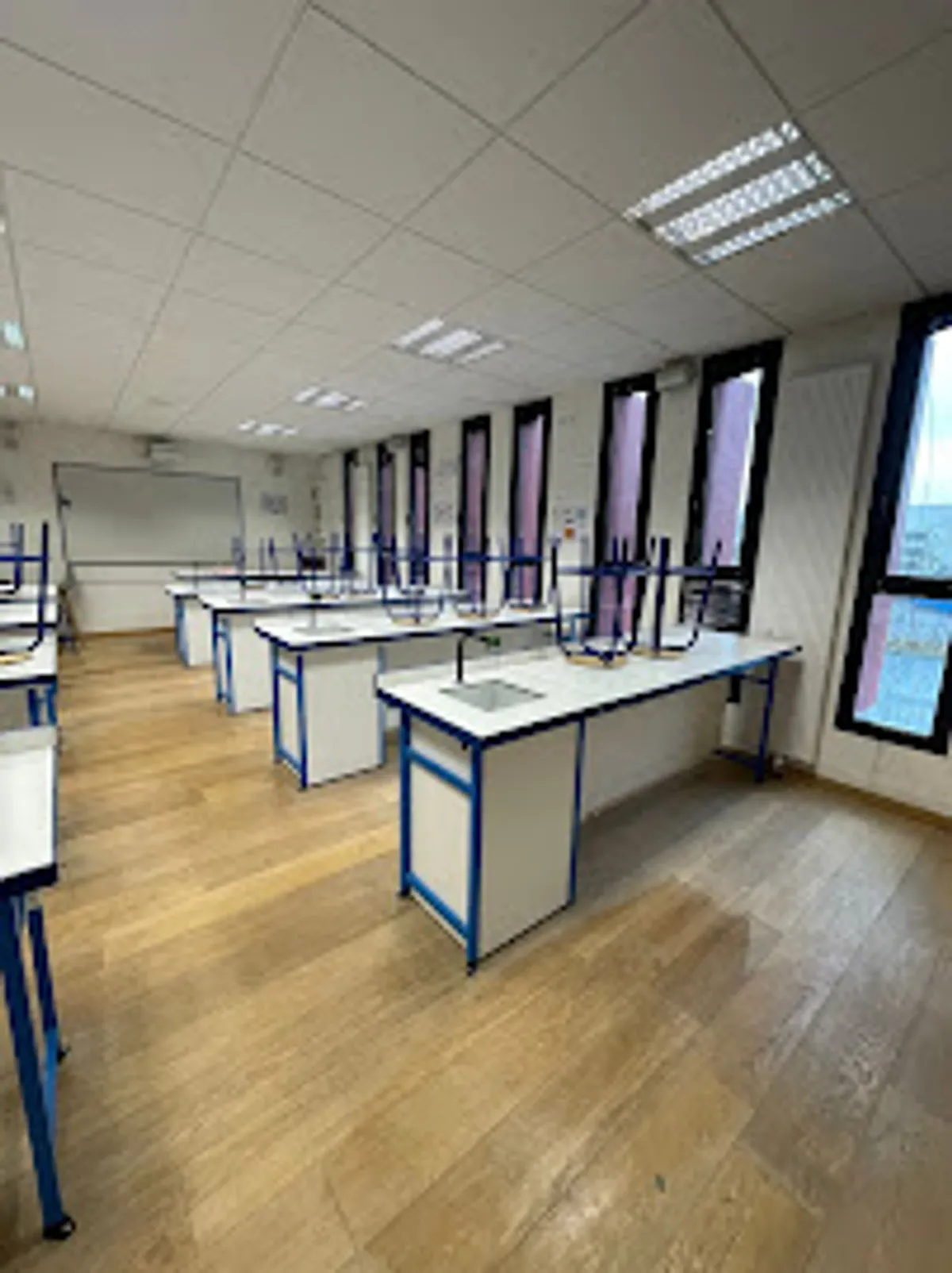 Sam Service - Photo 3