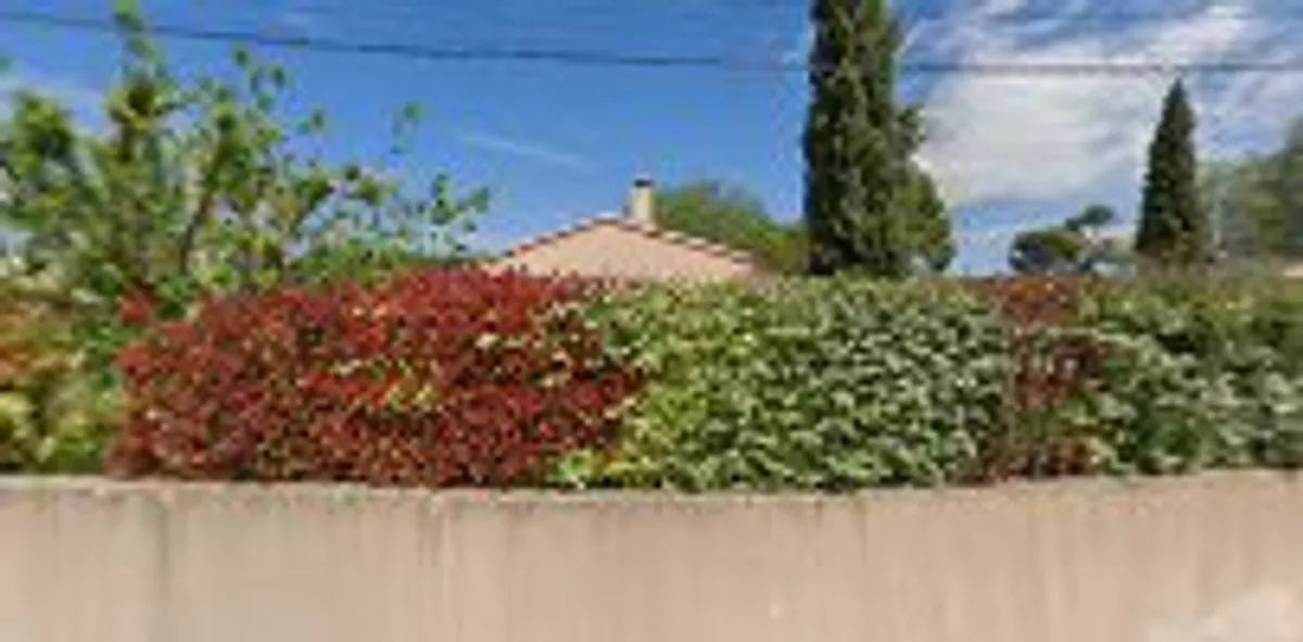 Intendance Clés en Main - Photo 6
