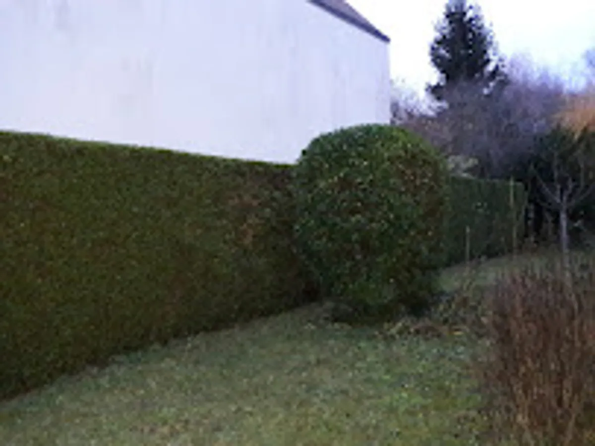 Oxygene77 EI Services à la personne à domicile - Photo 2