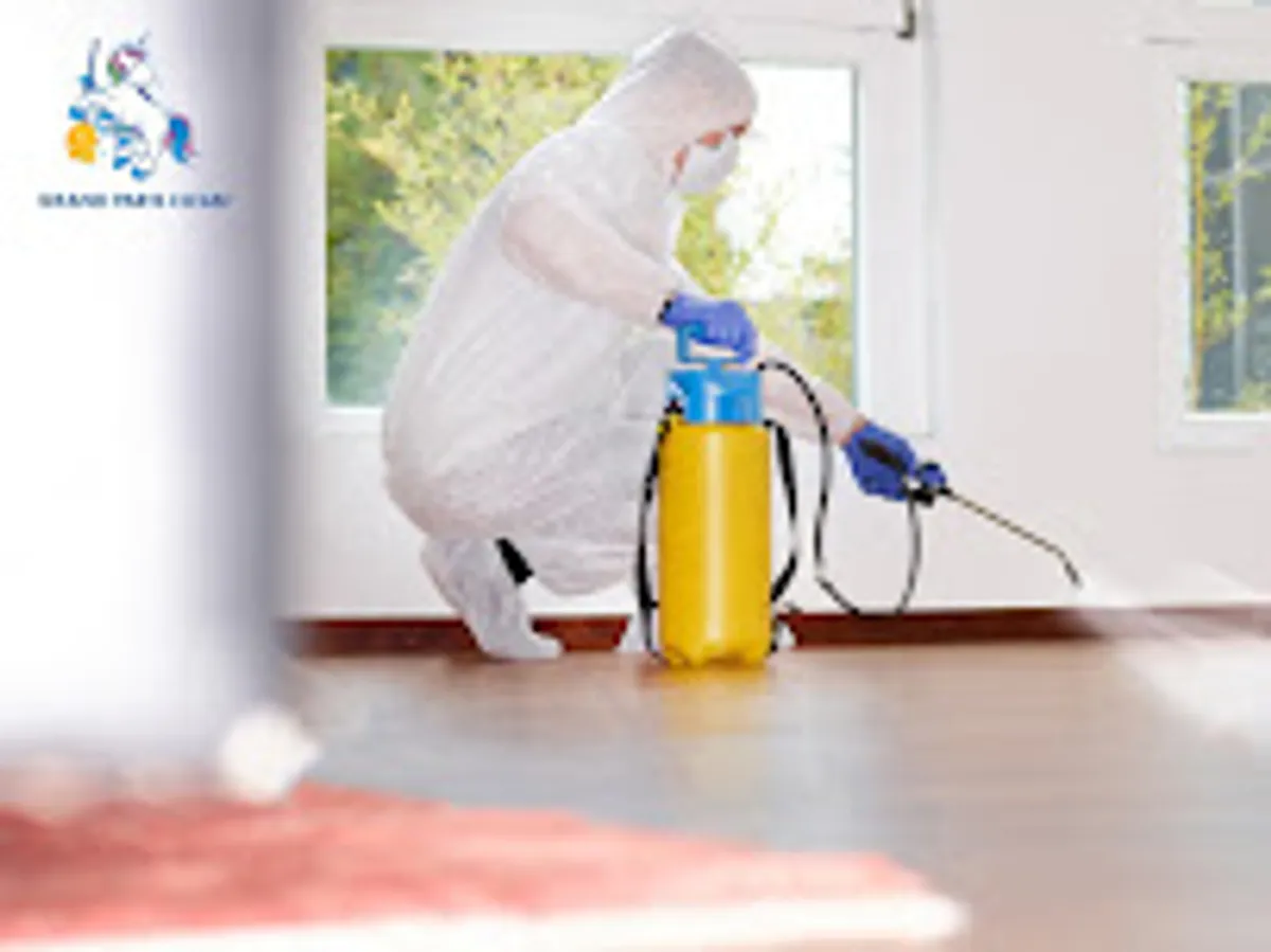 Grand Paris Clean Entreprise de nettoyage et d'entretien Paris et Île de France
