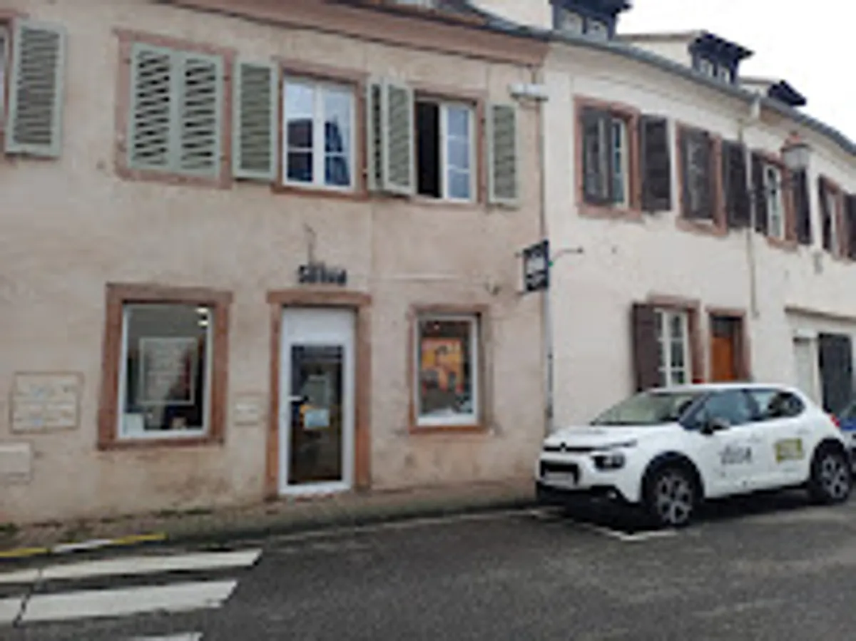 Ménage et repassage à domicile - Shiva Sélestat - Photo 2