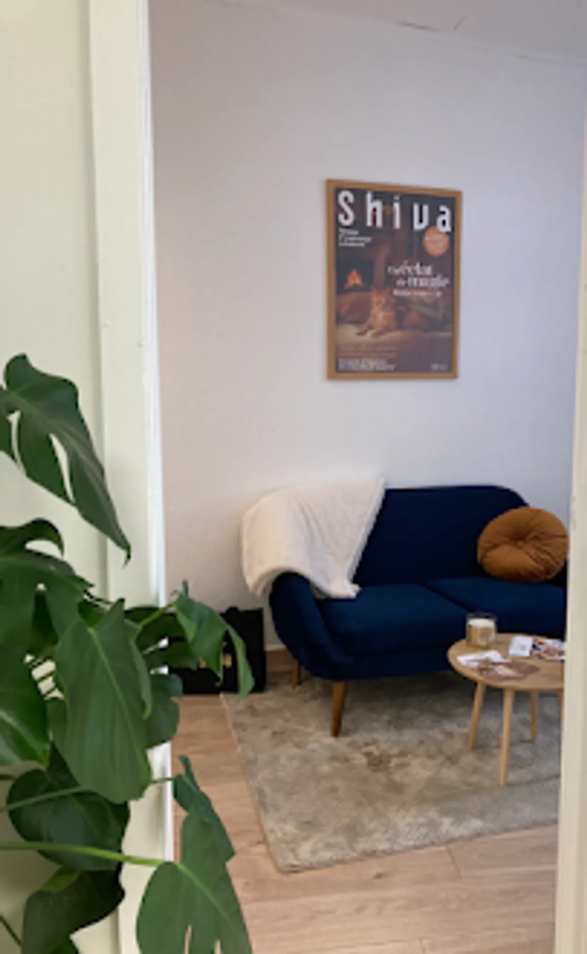 Ménage et repassage à domicile - Shiva Sélestat - Photo 3