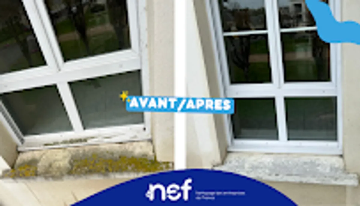 NEF (Nettoyage des entreprises de France)