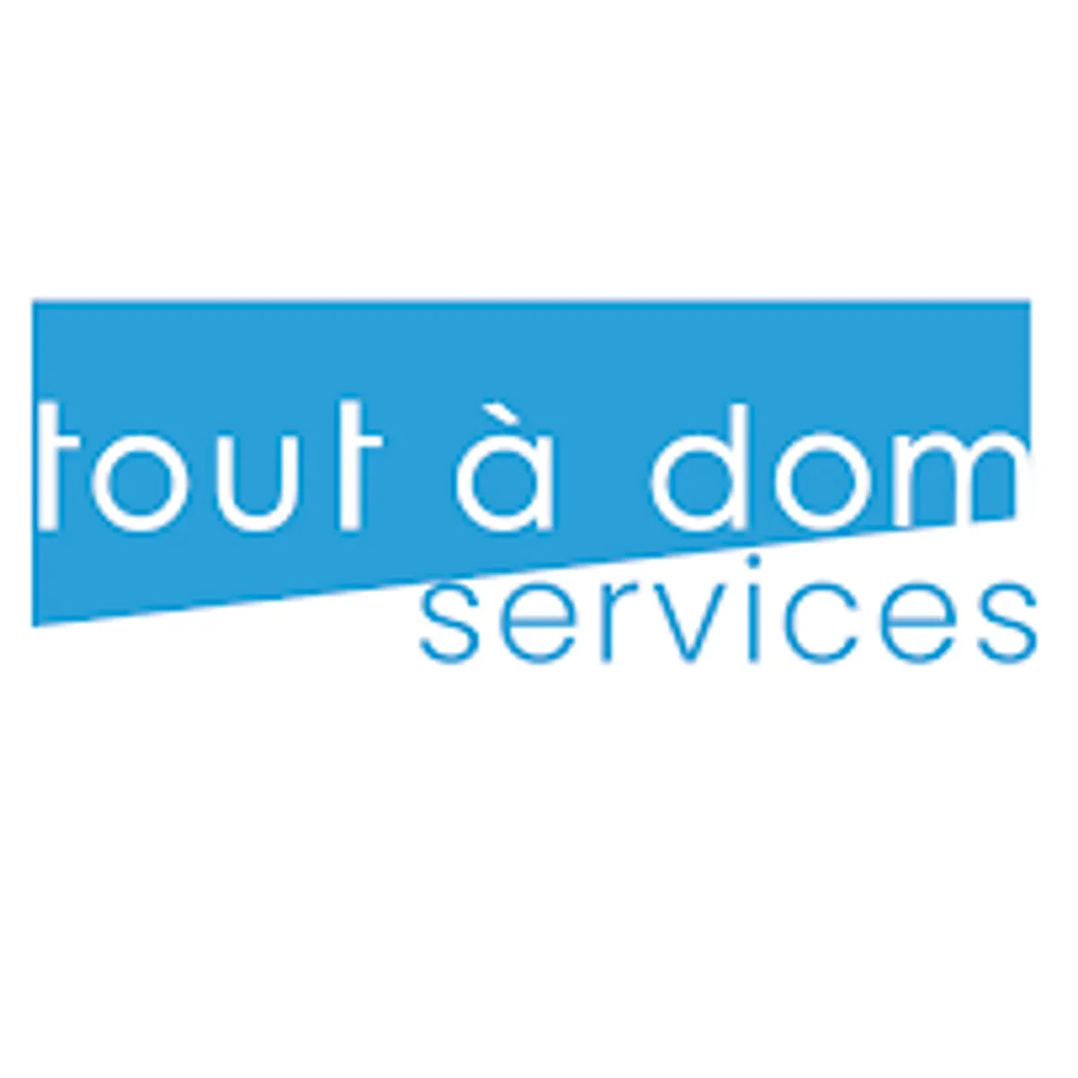 TOUT A DOM SERVICES CHAMPIGNY SUR MARNE - Photo 2