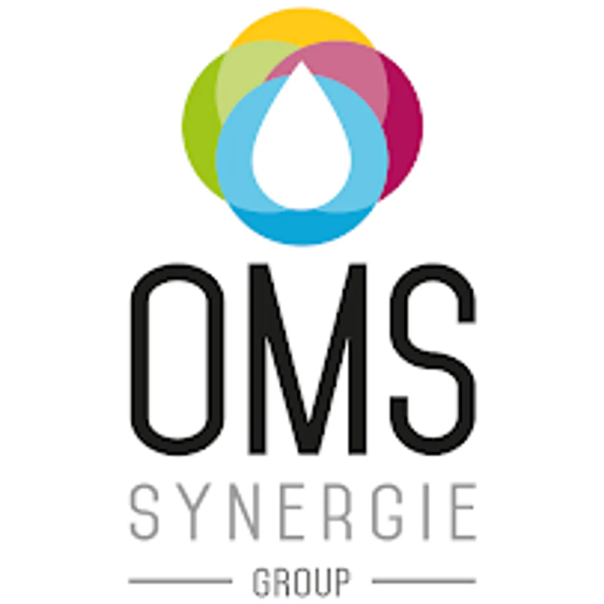 OMS Synergie Group - Photo 4