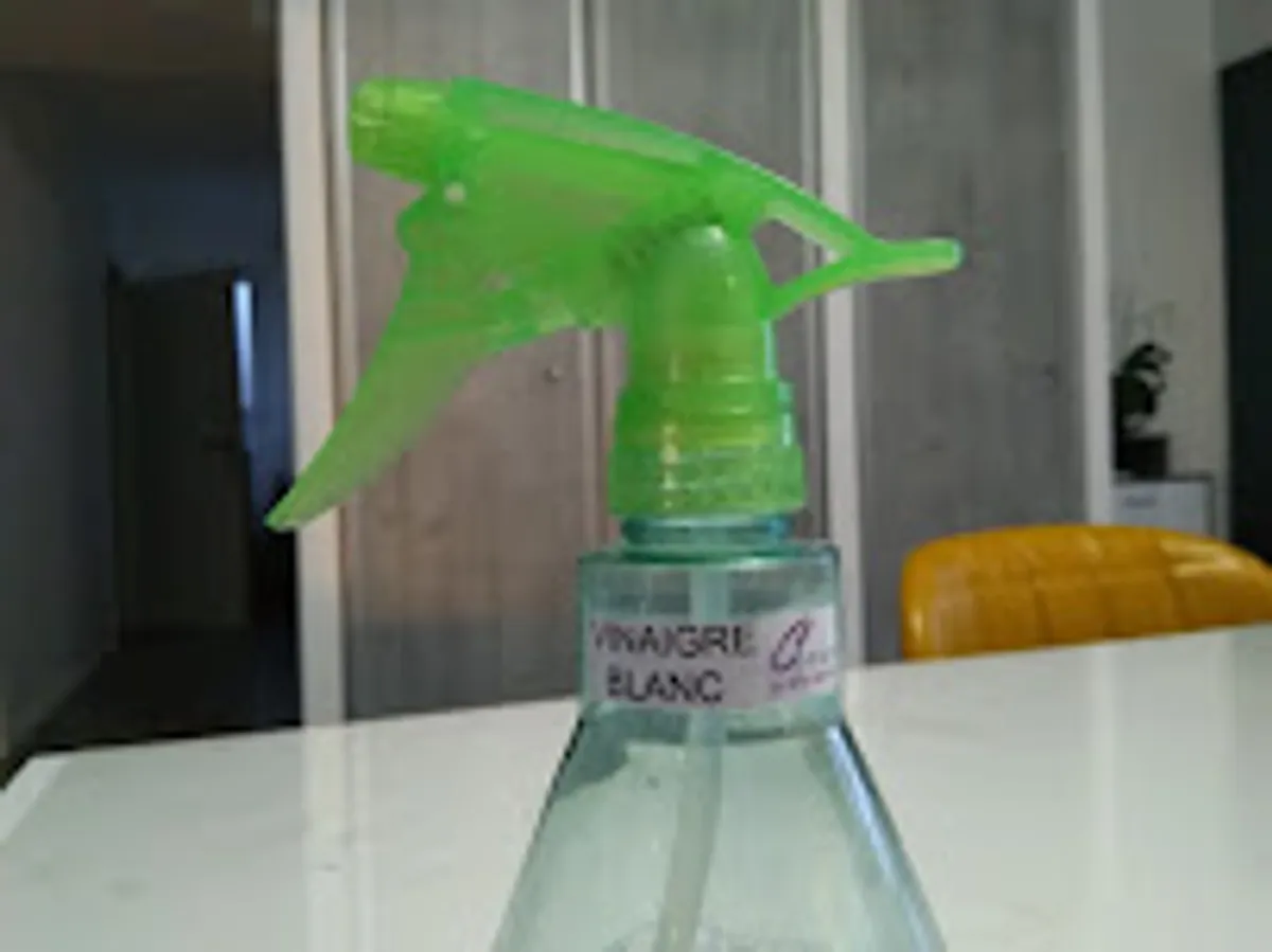 Clean Préférence - Femme de ménage Toulouse - Ménage Toulouse - Photo 2