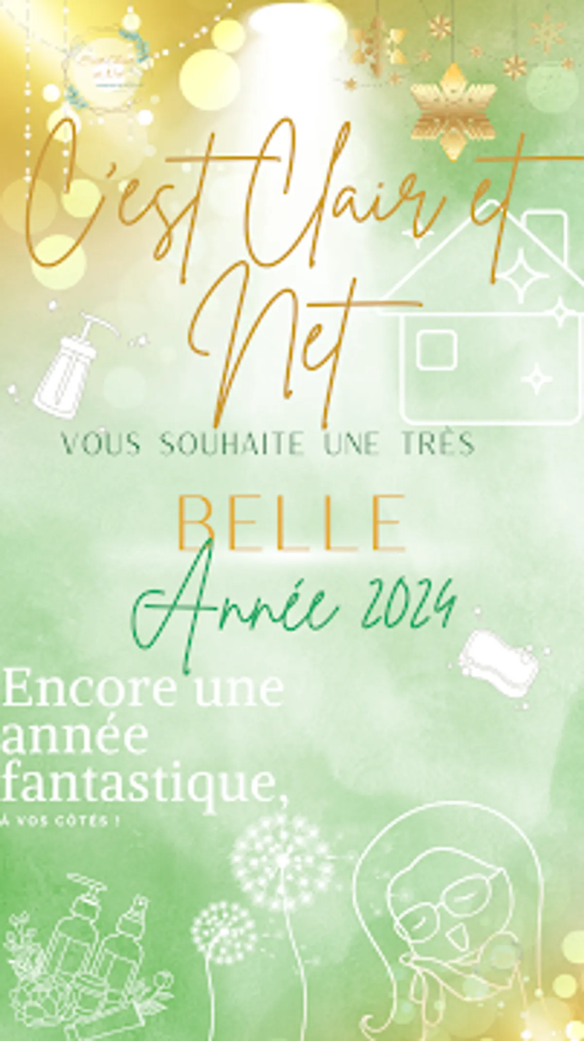 C’est Clair et Net - Photo 6