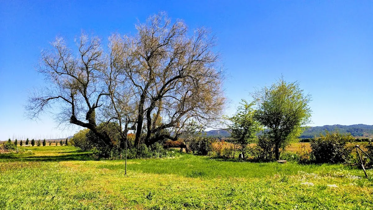 Saint-Étienne-du-Grès