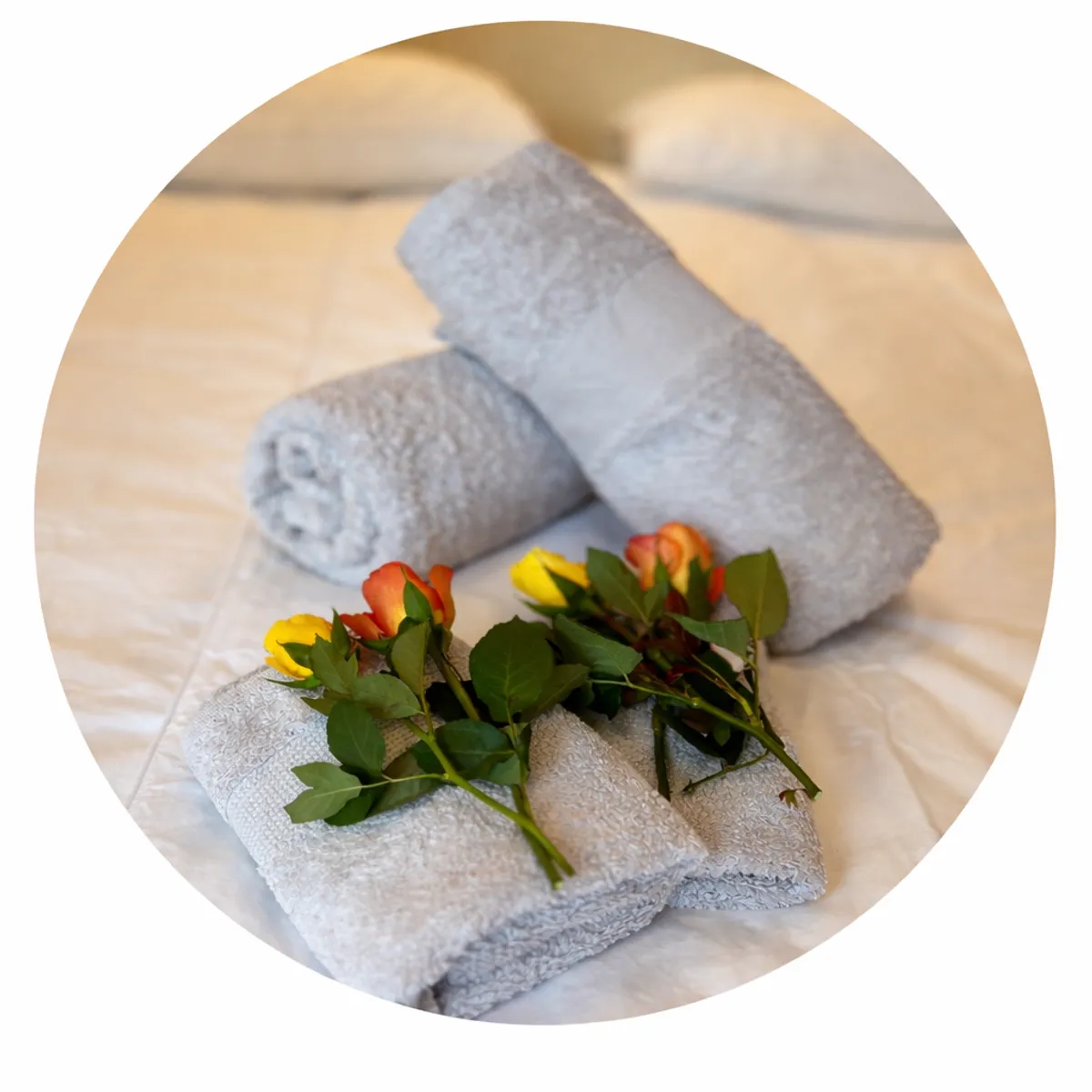 Guest of Riviera - Photo 3